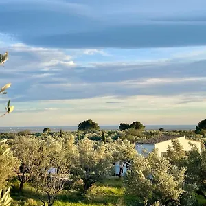 Guest house Mimosa, Tortosa